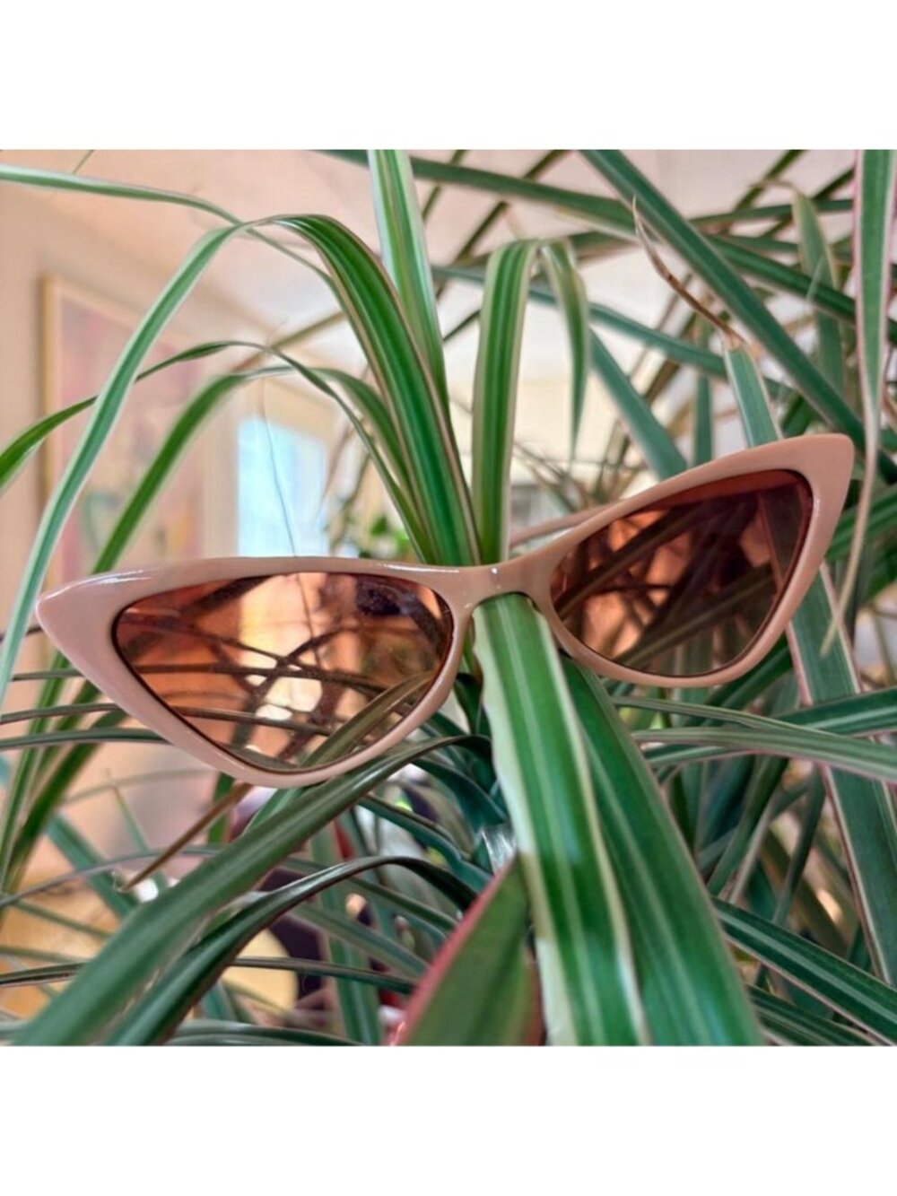 Cream cat eye sunglasses with light brown lenses